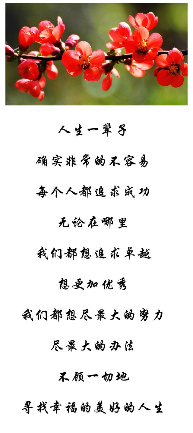 人生一辈子,确实非常的不容易