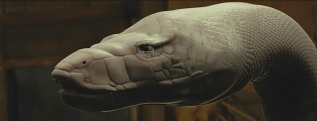 巨型白蛇深夜打击村民形成死伤,缘故原由怒不可遏!