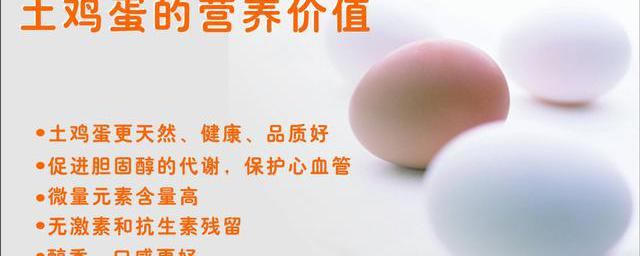 土鸡蛋和养殖场的鸡蛋,在营养成分上是否存在差异