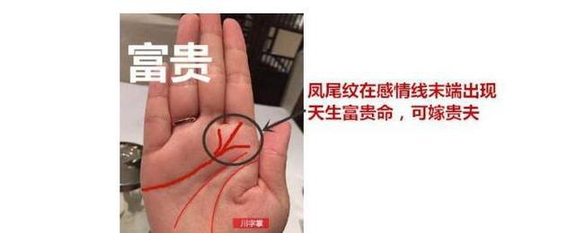 3,感情线末端分三叉,这叫凤尾纹.