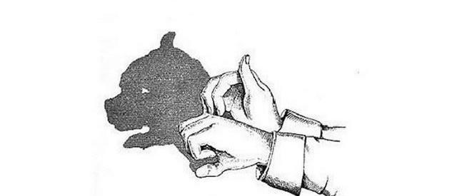 儿童喜爱动物,于是兔子,狗,猫,鸭子,大象等等就成了手影的主要表现