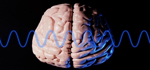 专家:脑细胞缺氧3分钟不可再生