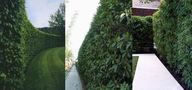 你的农庄离完美竟只差一道围墙