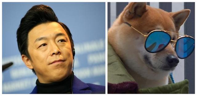 4,黄渤vs柴犬 两者都不是靠颜值吃饭的,至今还记得黄渤在极限挑战里对