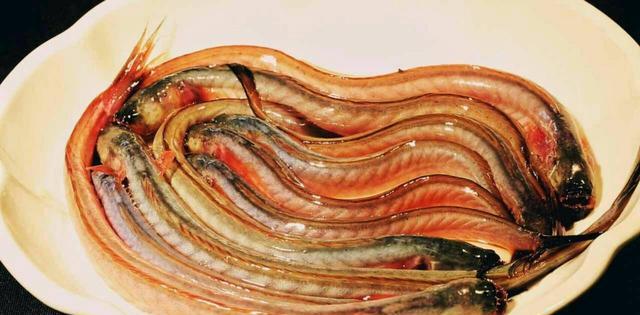 大奶鱼:疍家人的"催奶"良药