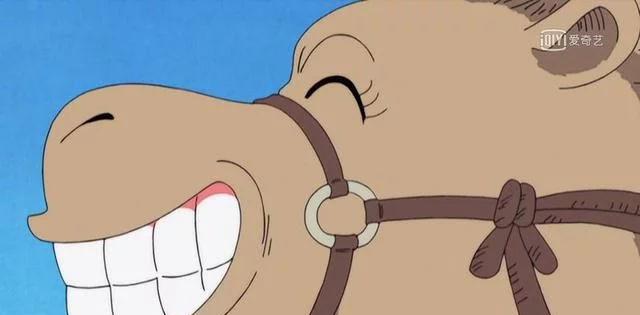 三大海贼王中最欠揍的动物,简直一个比一个欠|海贼王|动物|睫毛_新浪