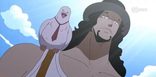 top3:罗布·路奇的鸽子