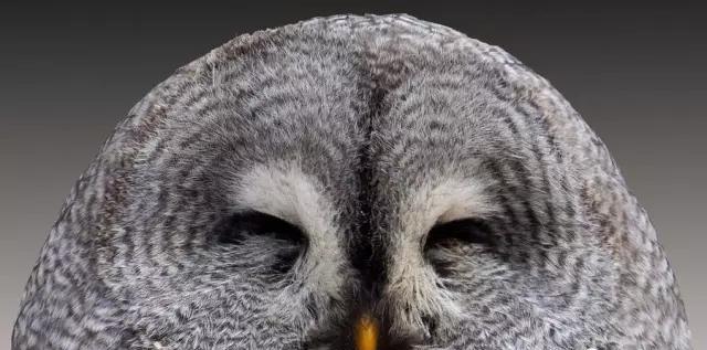 解密《道德经》:何为得道之士?不自满,推陈出