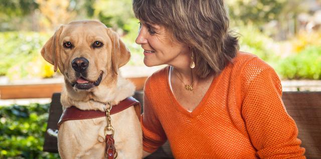 和宠物说话,已经成了大部分铲屎官的日常之一,除了简短的训练口令外