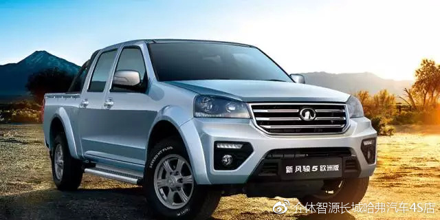 长城皮卡风骏5价格