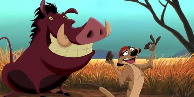 狮子王中的丁满是什么动物可以当作宠物吗