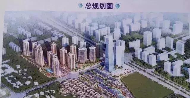 你知道房地产商2017年在茂名买了多少地吗? 