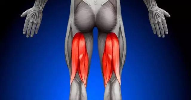 5个腘绳肌练习,夏天让你毫无压力秀出大腿