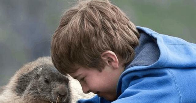 超级暖心新西兰小男孩与土拨鼠成为好朋友