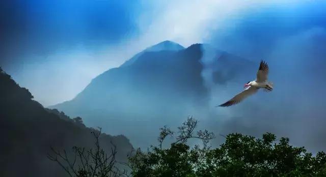 惹得"小仙女"下凡尘