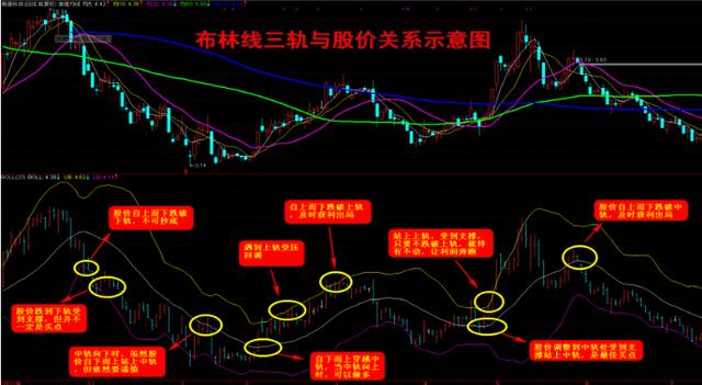 炒股经验boll布林线与5日线的结合一旦读懂利润滚滚来