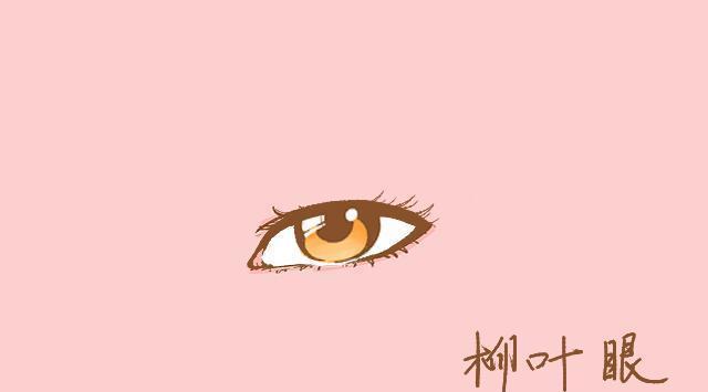 柳叶眼就像柳叶一样,非常细扁, 内眼角呈钩状,外眼角上翘,非常迷人.