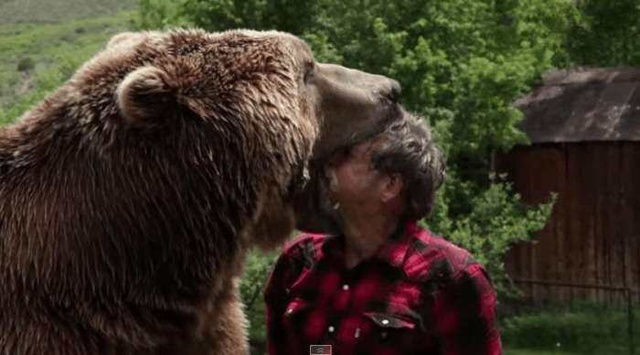 老人被棕熊啃脸咬耳朵围观群众无人报警表示已见惯