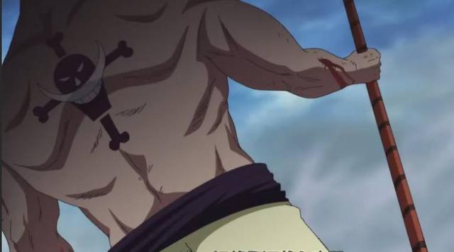 海贼王背上的伤是剑士的耻辱为什么会震撼到鹰眼看他身体