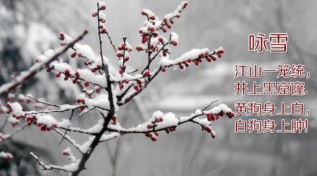 唐朝最牛诗人不是李白杜甫而是这个张秀才原因很简单