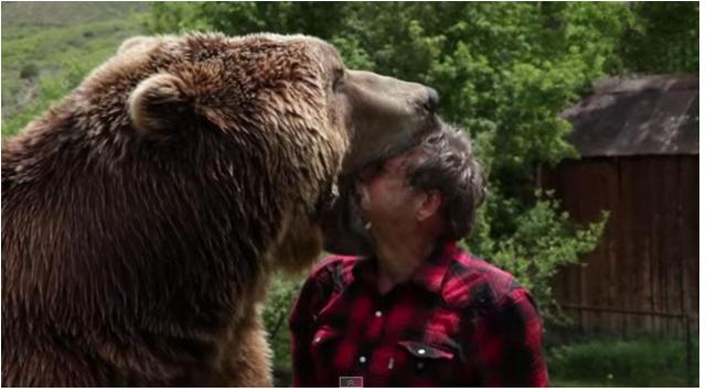 年过七旬的老人养头大灰熊,喜欢和它玩吃人游戏!