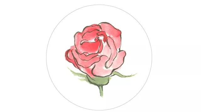 三皈依   南无护法韦陀尊天菩萨(三称)   大吉祥天女咒   韦陀赞