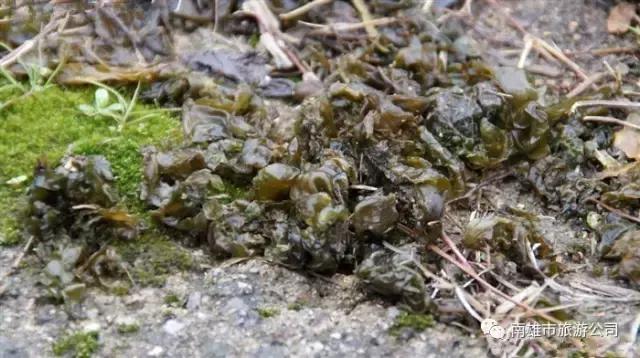 其实还有这些哦