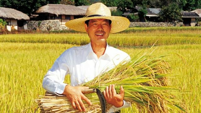 农村户口将要取消,未来农民将何去何从!