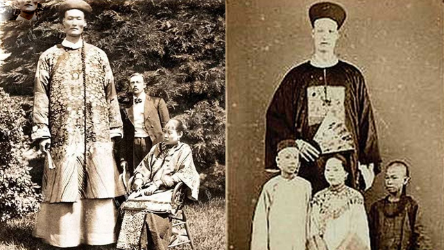 精通十国语言,还了娶外国妻子|詹世钗|身高|姚明_新浪新闻