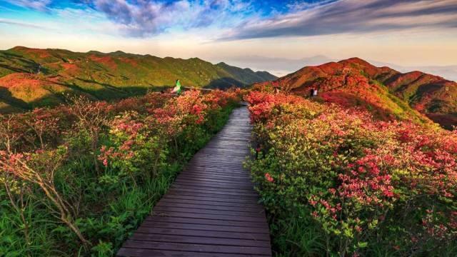 云南最美旅行时间表,一年12个月都可看到云南