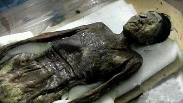 纵观瑾妃一生,虽然说入宫之后得不到光绪皇帝宠爱,但是她却不自暴自弃