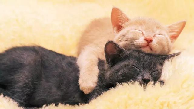 爱情里的三观一致就是个伪命题