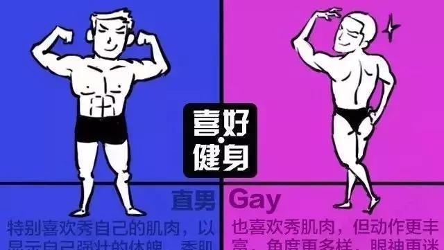 图解男同志与直男的区别