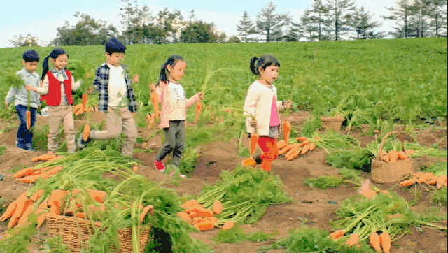 当第一缕阳光洒落在这小村庄的屋檐上