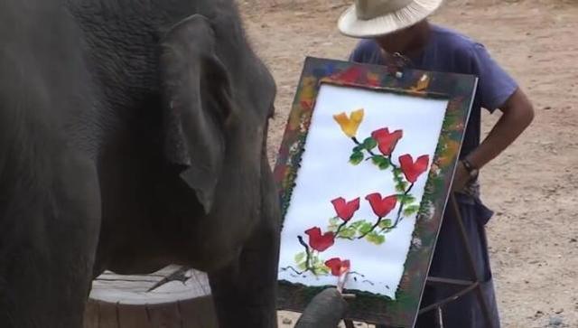 泰国会画画的大象,曾画出一幅12米长画作,被载入吉尼斯世界纪录