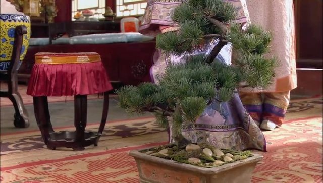 甄嬛回宫后,欣贵人来请安,甄嬛为何要送她矮子松?这心机谁懂?