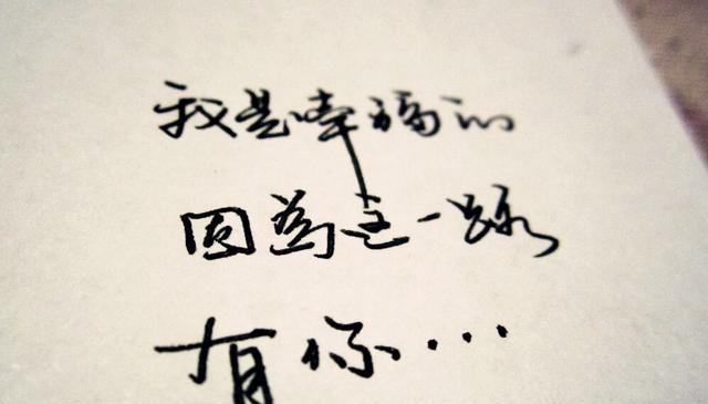 谢谢你来过