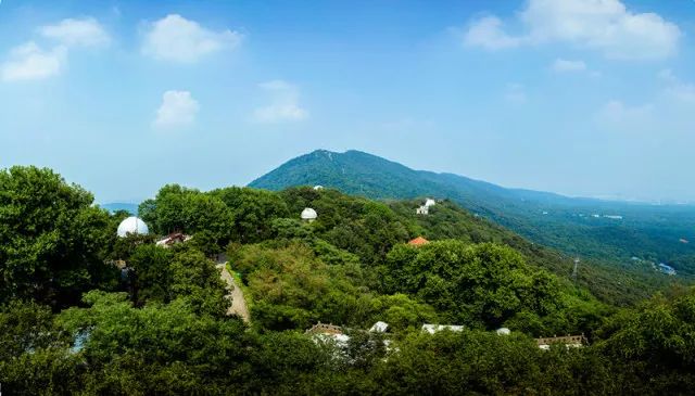紫金山登山道"道长"上任