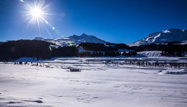 数九寒天,4大妙招助您安稳过冬