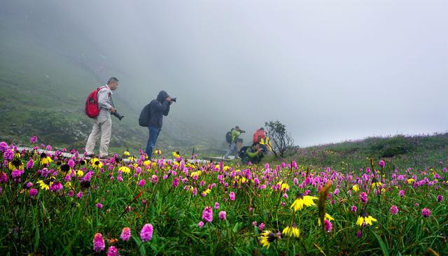 待轿子雪山春暖花开,空碧悠悠看花海!