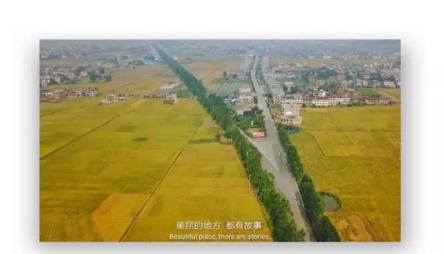 安仁县房产管理局领导分工 蒋铁如七七事变的历史意义