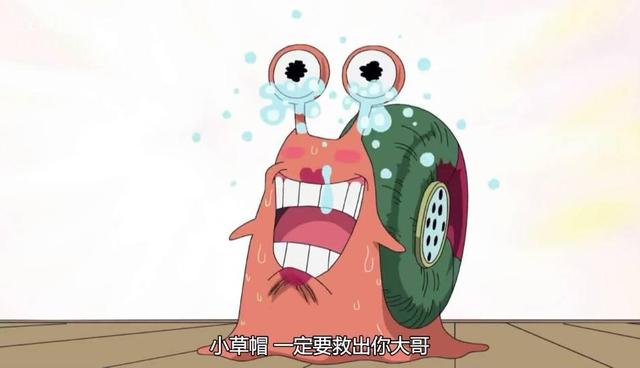 盘点海贼王中最萌宠的9个电话虫,甚平的最萌丑,明哥的最逗逼!