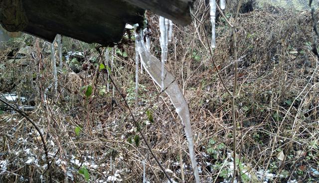 这天气滴水成冰!而这根冰条子,是我见过长得最随心所欲的一根!