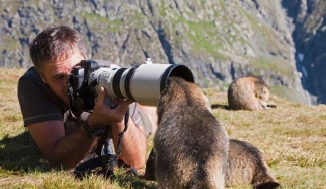 摄影师镜头下的搞笑奇葩照:第一张画面好和谐,最后一张什么鬼?