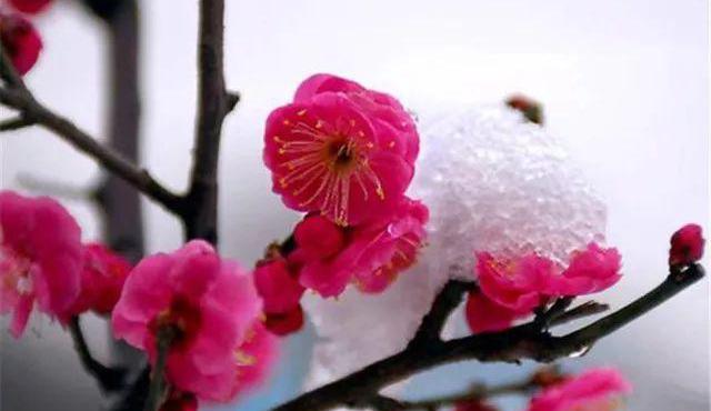 学术田兆元：中国雪神考！