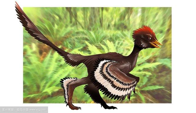 体型和重量最小的恐龙,它也许就是现代鸟类的直接祖先