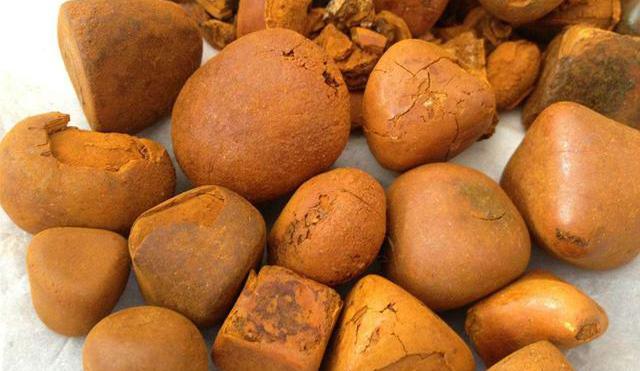 牛黄,又名西黄,犀黄,丑宝.