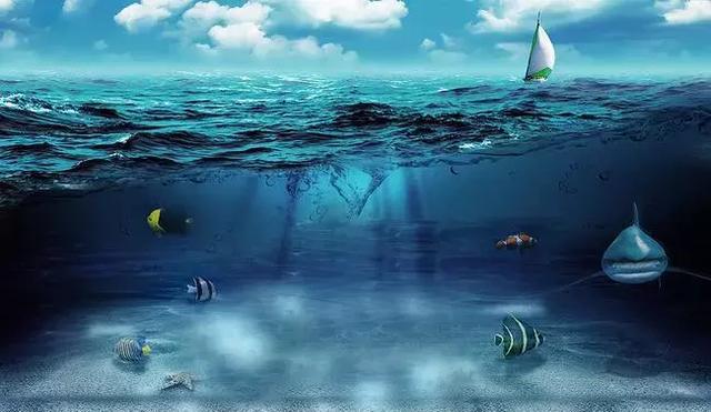 大海生命最初的起源都来自追根溯源可是?