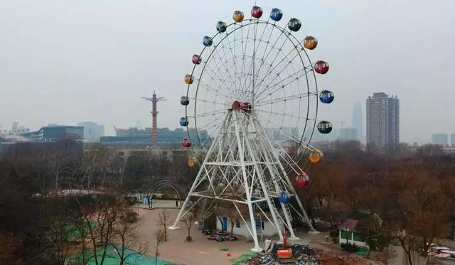 泉城公园11岁的摩天轮要拆?园方:这事还没定