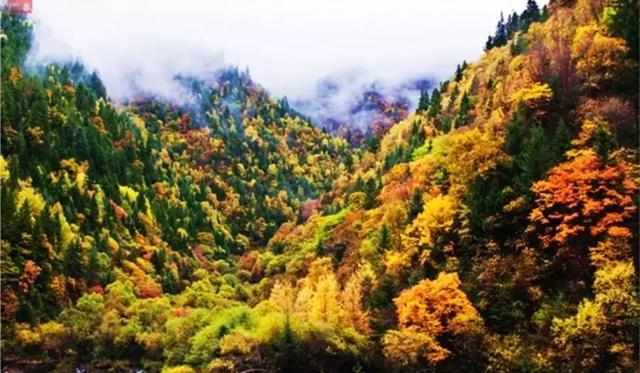 四川最美十大县城排行榜,甘孜阿坝各占3个,成